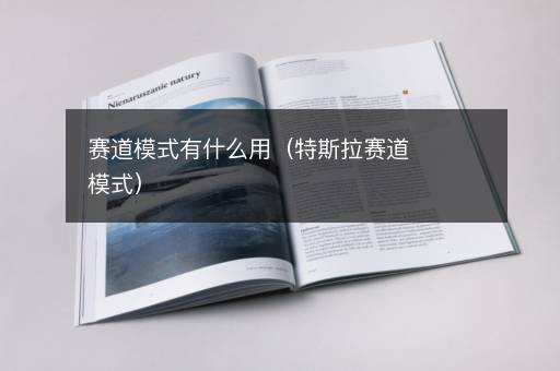 赛道模式有什么用（特斯拉赛道模式）