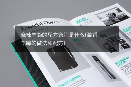 麻辣羊蹄的配方窍门是什么(酱香羊蹄的做法和配方)