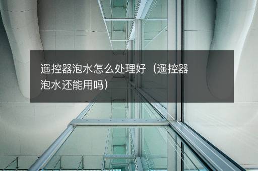 遥控器泡水怎么处理好（遥控器泡水还能用吗）
