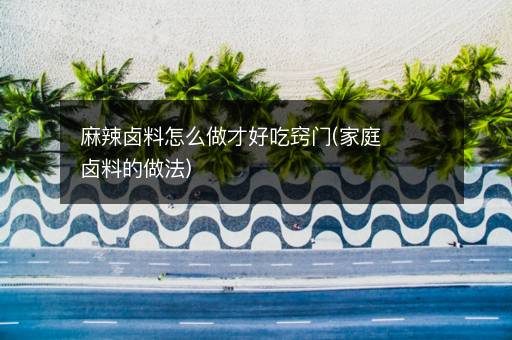 麻辣卤料怎么做才好吃窍门(家庭卤料的做法)