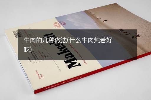 牛肉的几种做法(什么牛肉炖着好吃)