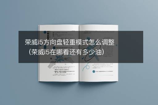 荣威i5方向盘轻重模式怎么调整（荣威i5在哪看还有多少油）