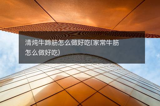清炖牛蹄筋怎么做好吃(家常牛筋怎么做好吃)