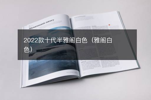 2022款十代半雅阁白色（雅阁白色）