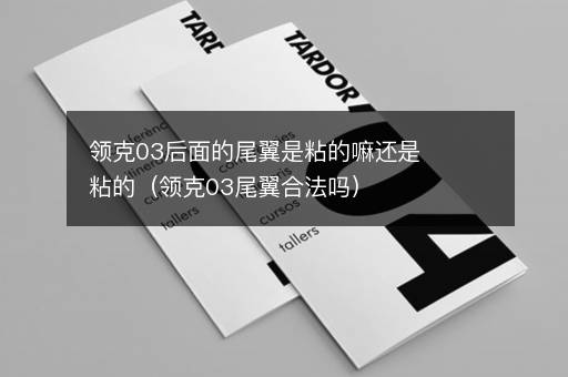 领克03后面的尾翼是粘的嘛还是粘的（领克03尾翼合法吗）