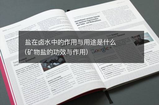盐在卤水中的作用与用途是什么(矿物盐的功效与作用)