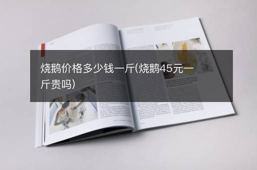 烧鹅价格多少钱一斤(烧鹅45元一斤贵吗)